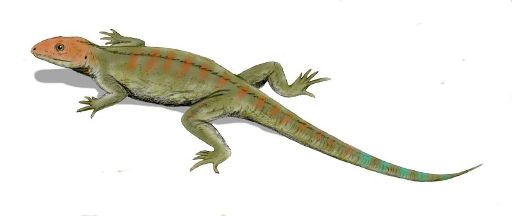 A reconstruction of Hylonomus lyelli, the earliest reptile, discovered by William Dawson at Joggins in 1859. Note the five slender toes on each foot (courtesy of Arthur Weasley)